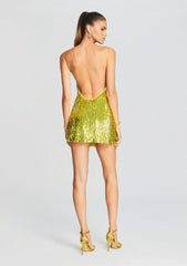 Nara Feather Sequin Dress